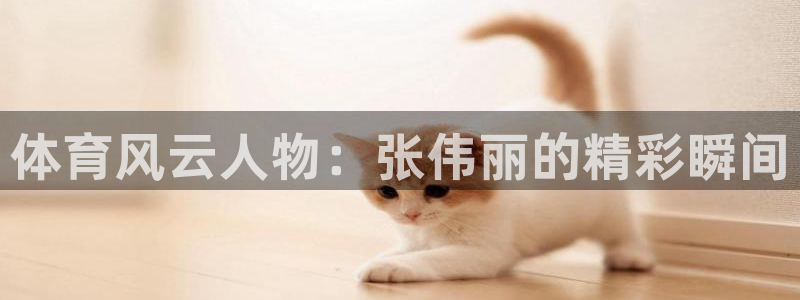 山猫足球比赛直播：体育风云人物：张伟丽的精彩瞬间