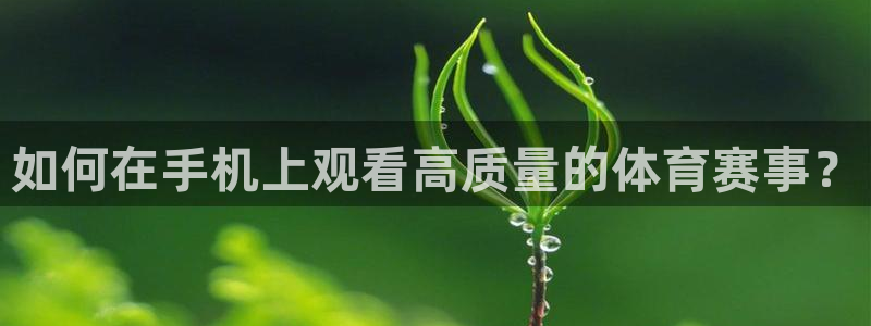 山猫足球直播高清直播：如何在手机上观看高质量的体育赛事？