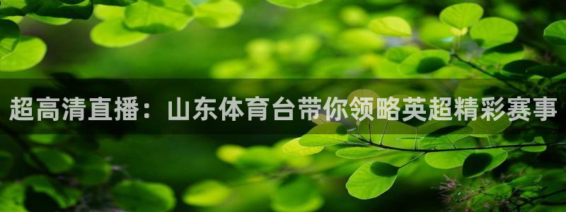 山猫体育下载：超高清直播：山东体育台带你领略英超精彩赛事