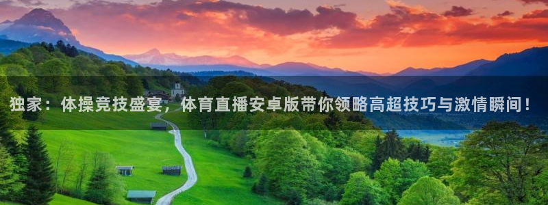 山猫足球免费直播：独家：体操竞技盛宴，体育直播安卓版带你领略高超技巧与激情瞬间！