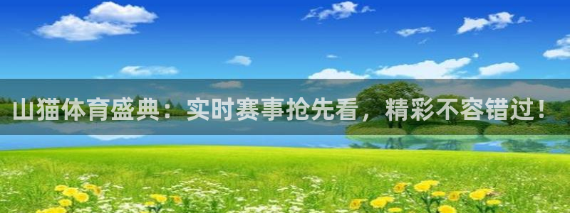 山猫看球直播：山猫体育盛典：实时赛事抢先看，精彩不容错过！