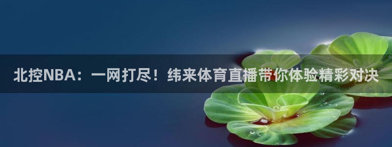 山猫体育直播app：北控NBA：一网打尽！纬来体育直播带你体验精彩对决