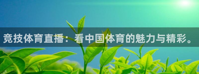 山猫看球免费高清直播：竞技体育直播：看中国体育的魅力与精彩。