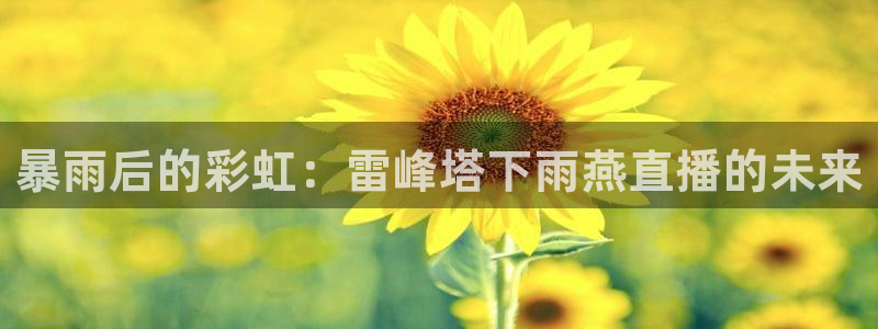 体育直播山猫：暴雨后的彩虹：雷峰塔下雨燕直播的未来