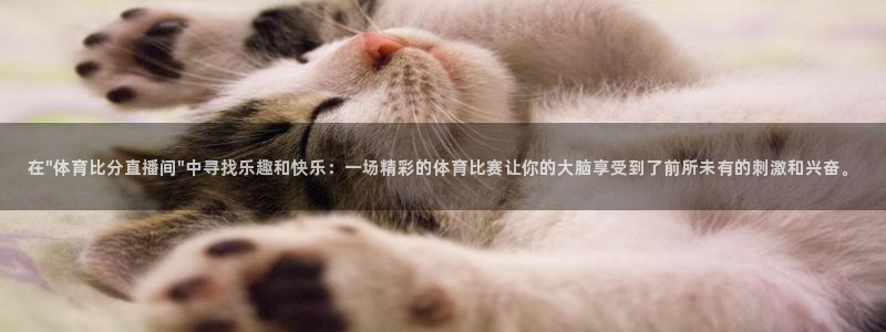 山猫直播体育赛事：在\