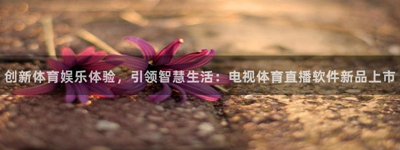 山猫体育在线观看