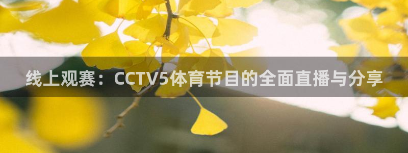 山猫足球直播在线直播观看：线上观赛：CCTV5体育节目的全面直播与分享