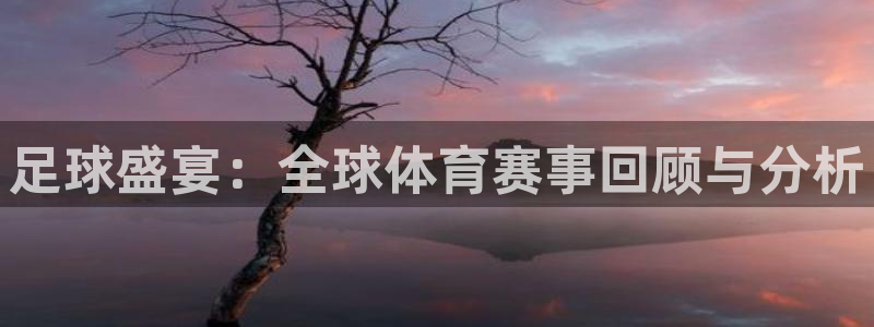 山猫在线足球直播：足球盛宴：全球体育赛事回顾与分析